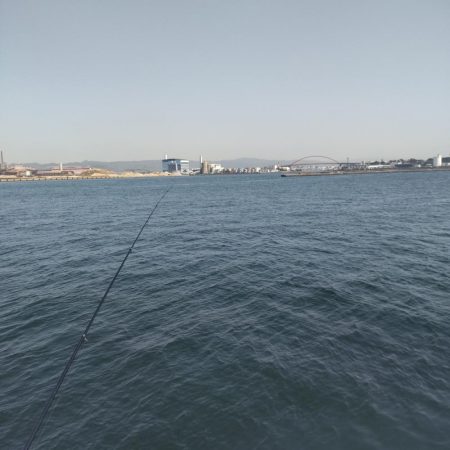 デカ鯵爆釣果！記録更新！