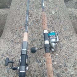 プチsalt water game