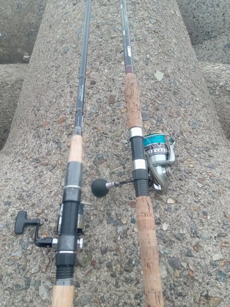 プチsalt water game