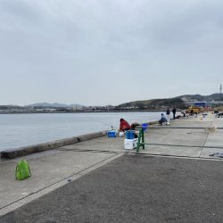 遠投サビキ釣りで大サバゲット!!