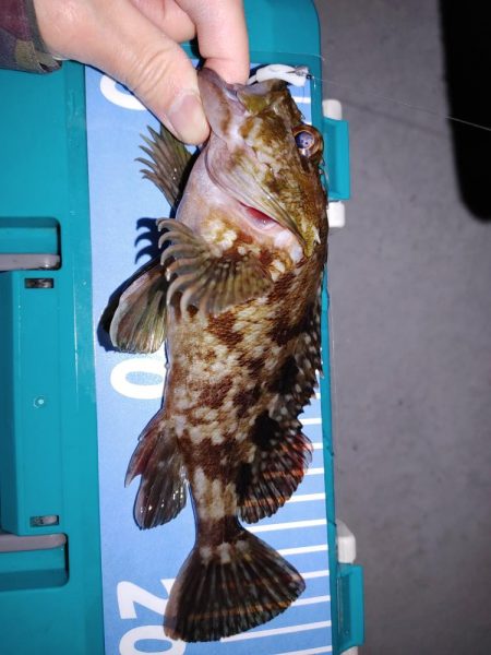 激渋メバリング