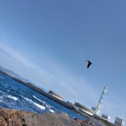 フカセ‥最高ですネ・・西風強・・