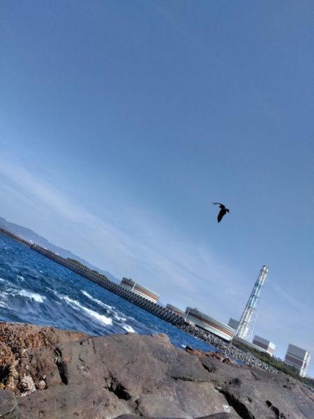 フカセ‥最高ですネ・・西風強・・