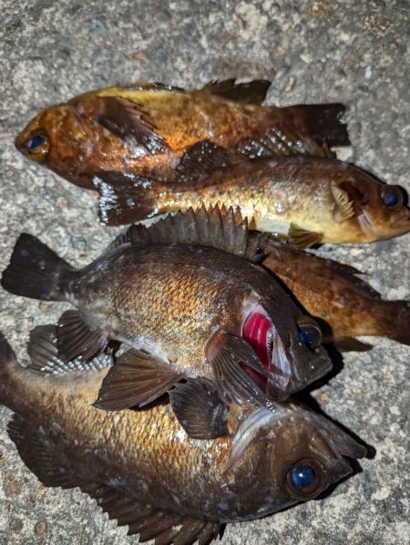 デイメバリング