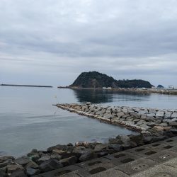 アジング＋α‬