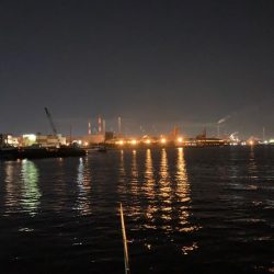 1時間で2キャッチ！