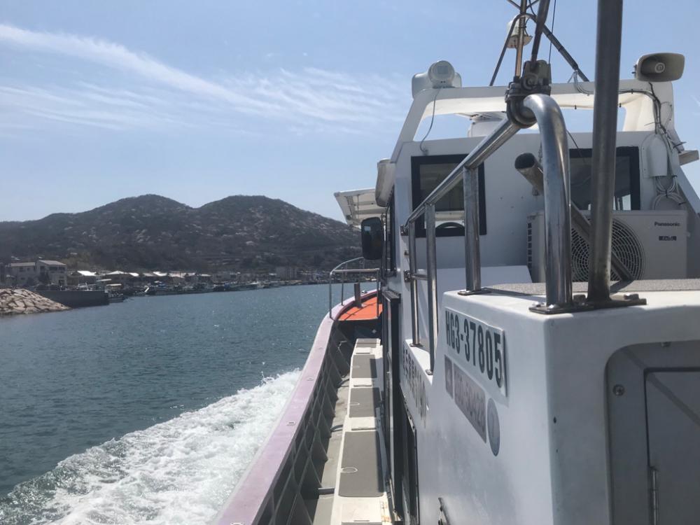 産卵モード?室津カットウフグ