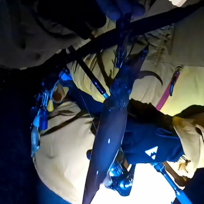 今季初シーズン終わりのヤリイカ釣り!