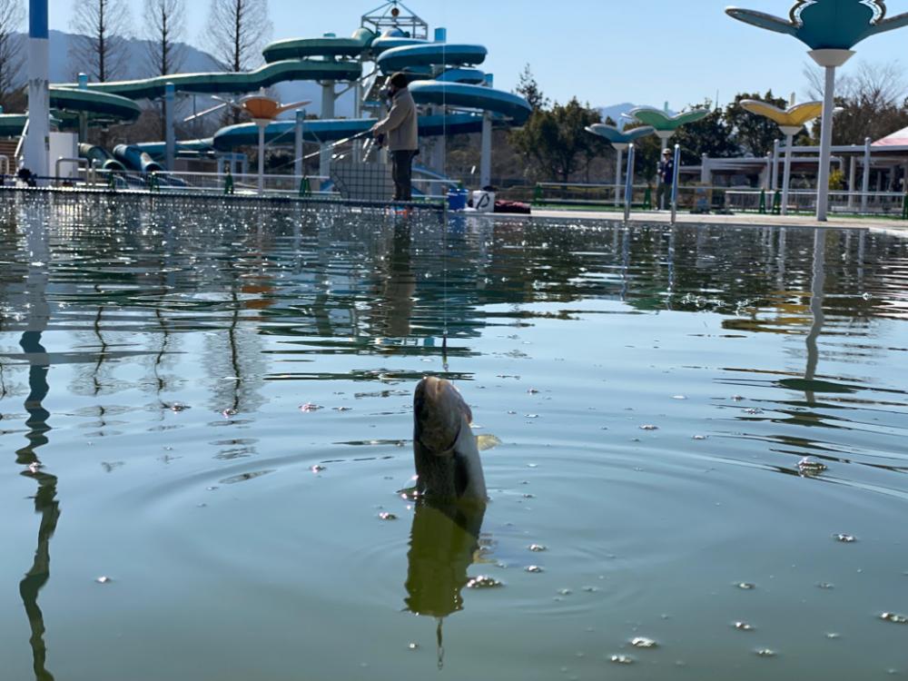 亀岡　かめプー　かめぷー