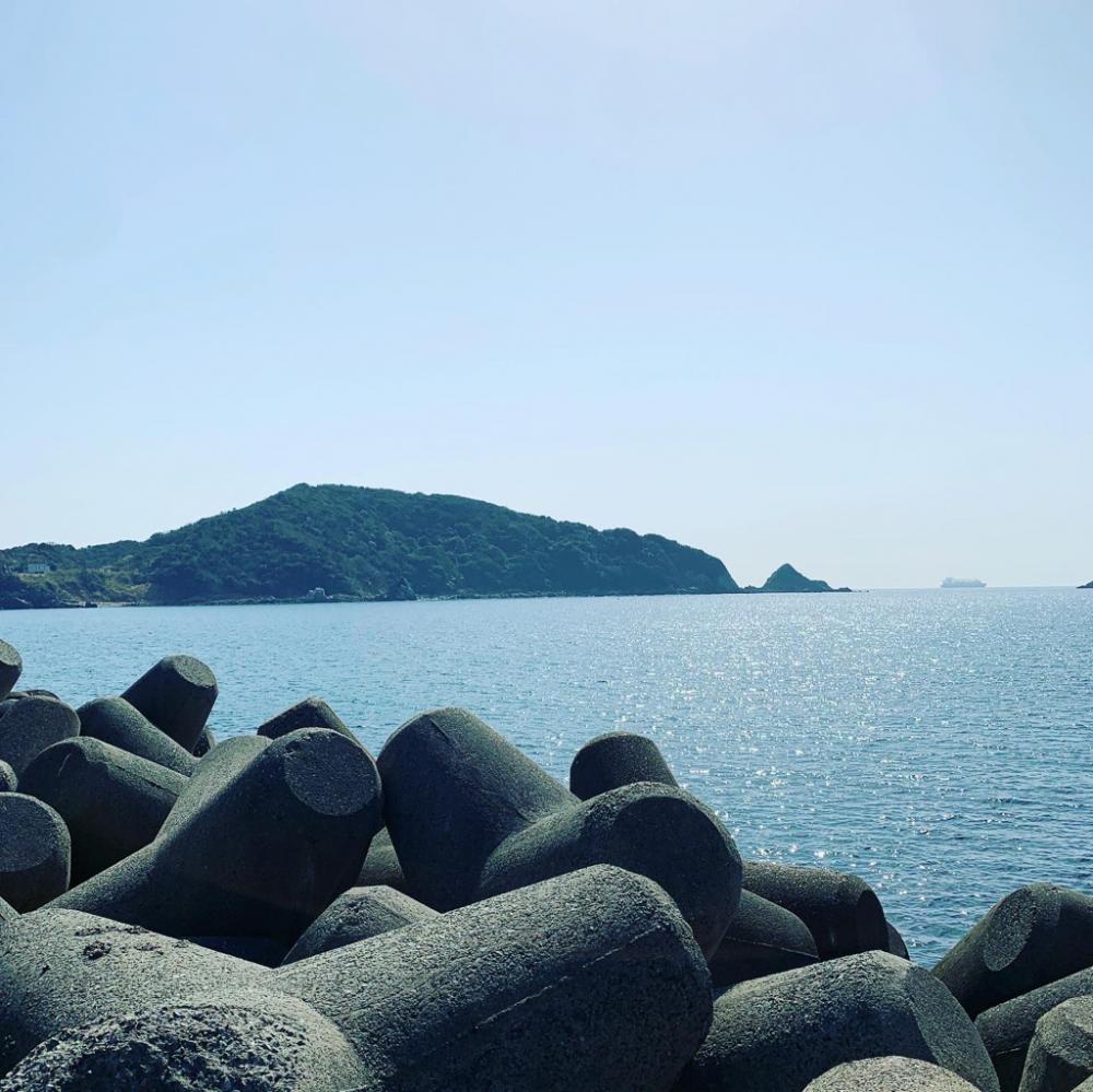 期待薄。調査に。