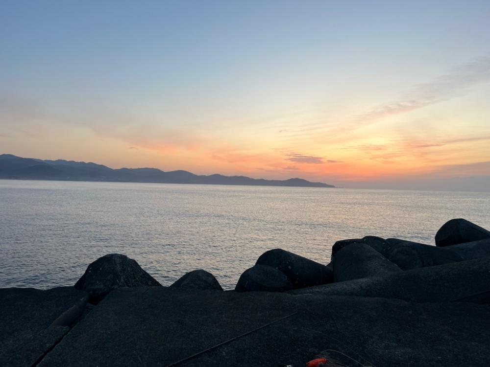 ブリ！今シーズンいちばんの高活性