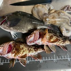 寒いのでワンドで五目