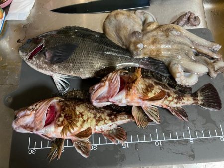 寒いのでワンドで五目