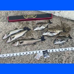 釣り日和の良い天気