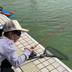 亀プー　かめプー　かめぷー