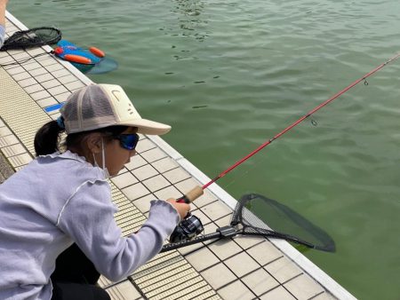 亀プー　かめプー　かめぷー