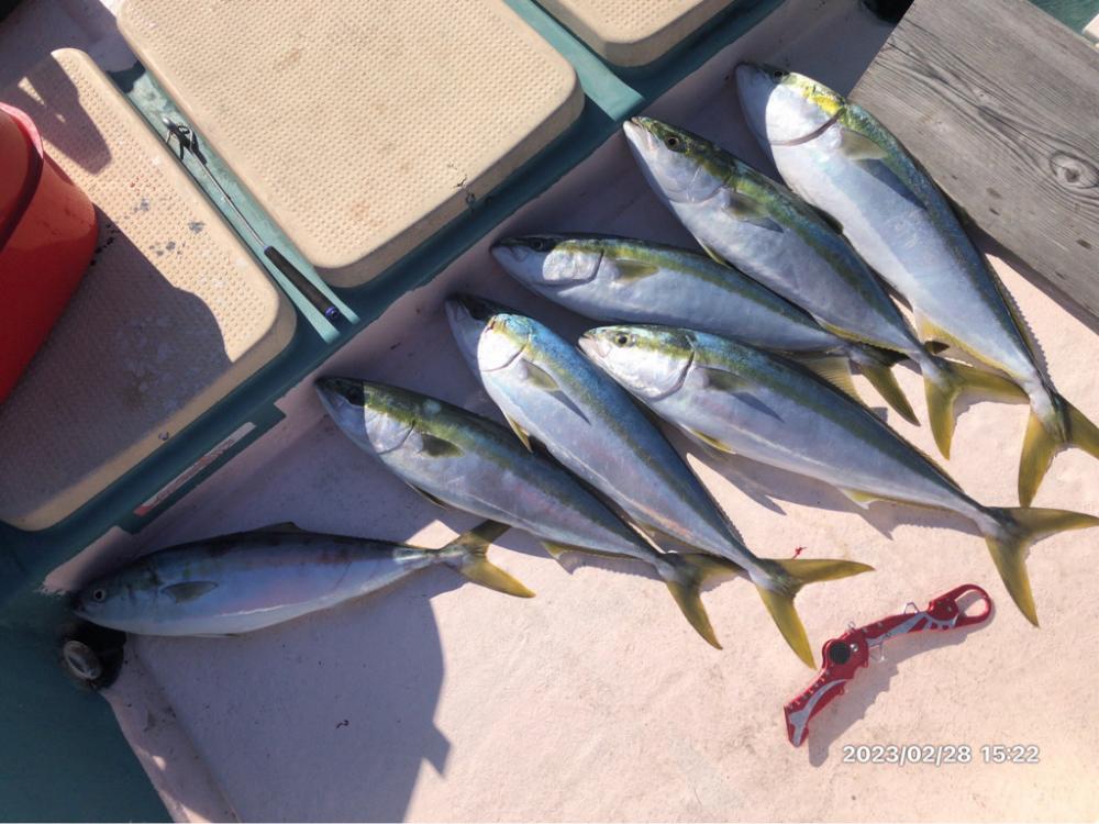 2/28 伊島沖ジギング