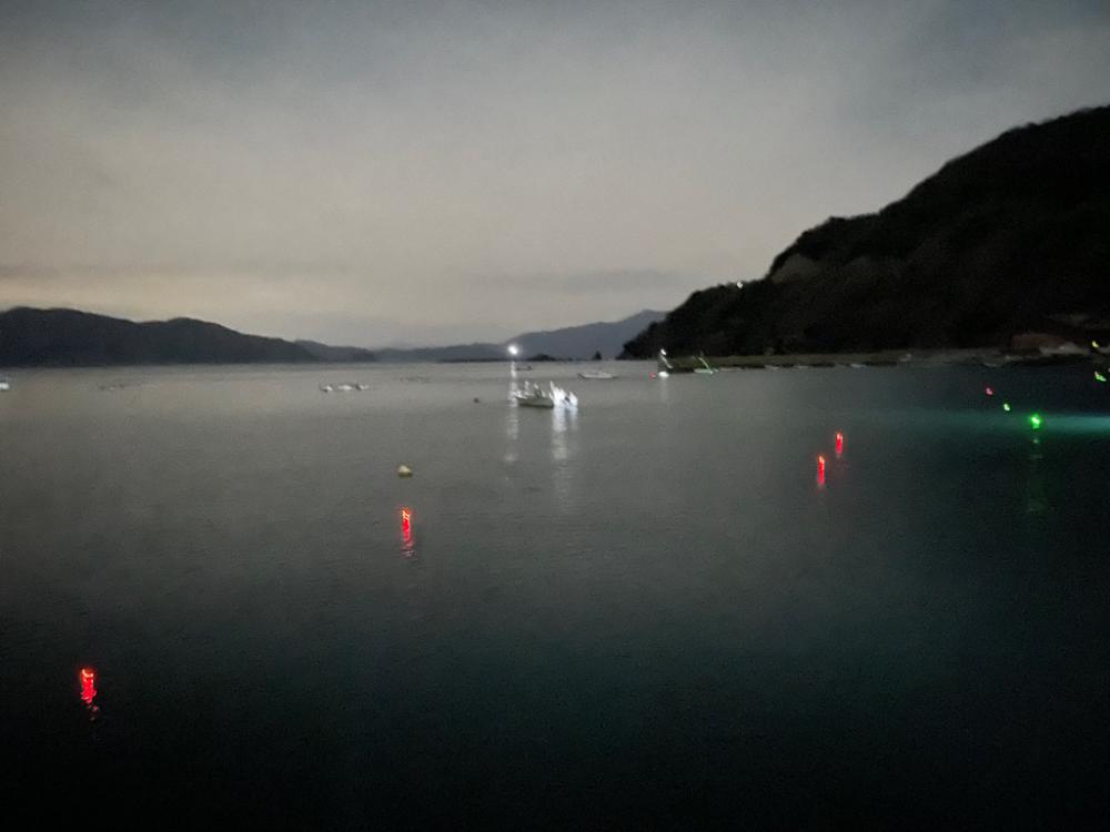 ヤリイカ　テーラー＆エギング