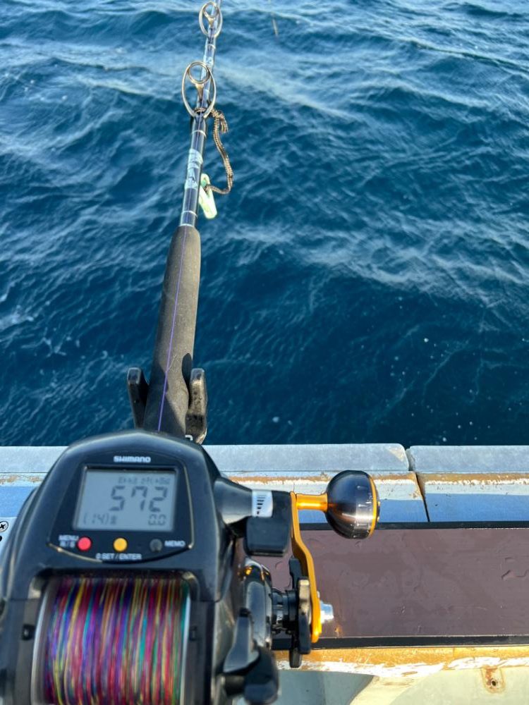 城ヶ島沖、深海五目