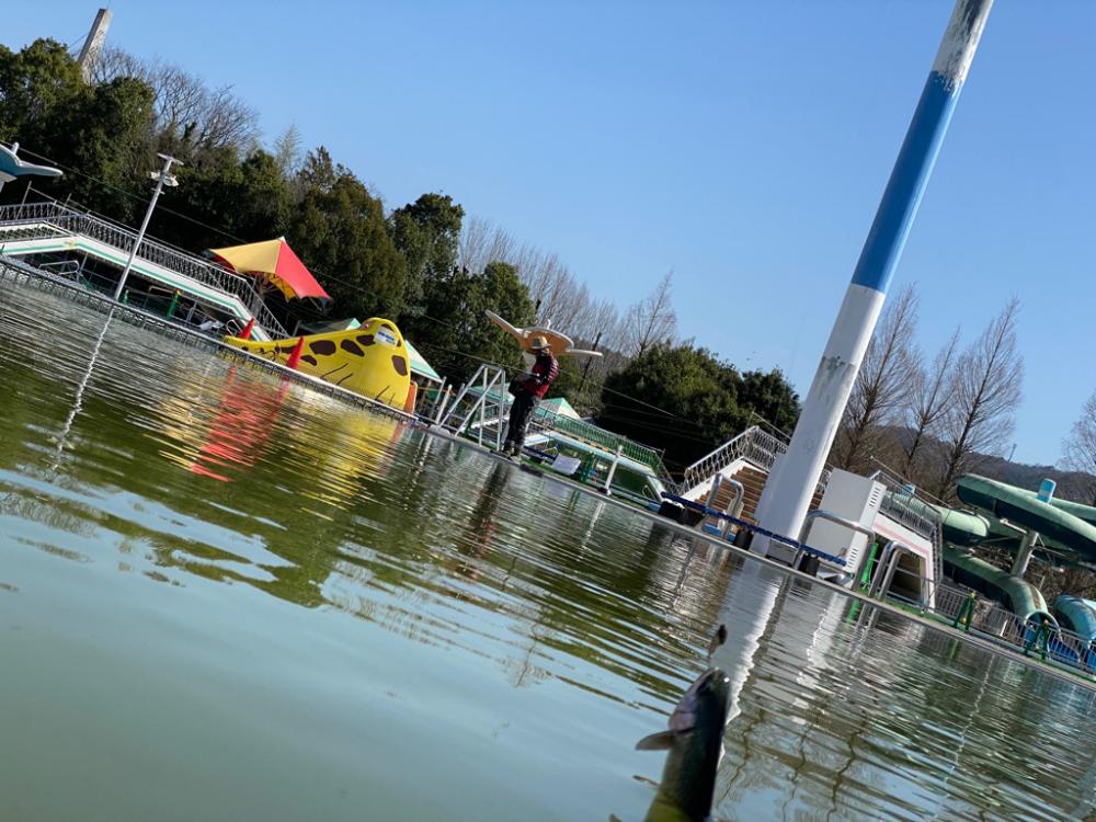 3.1gのティアロで1投1匹　