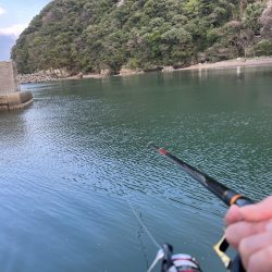 のんびり堤防でフカセ