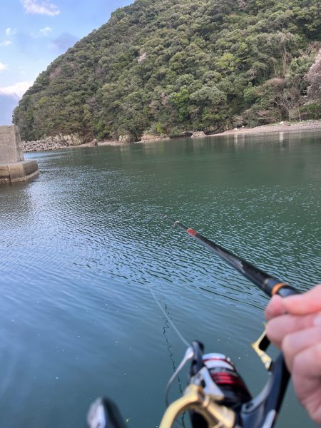 のんびり堤防でフカセ