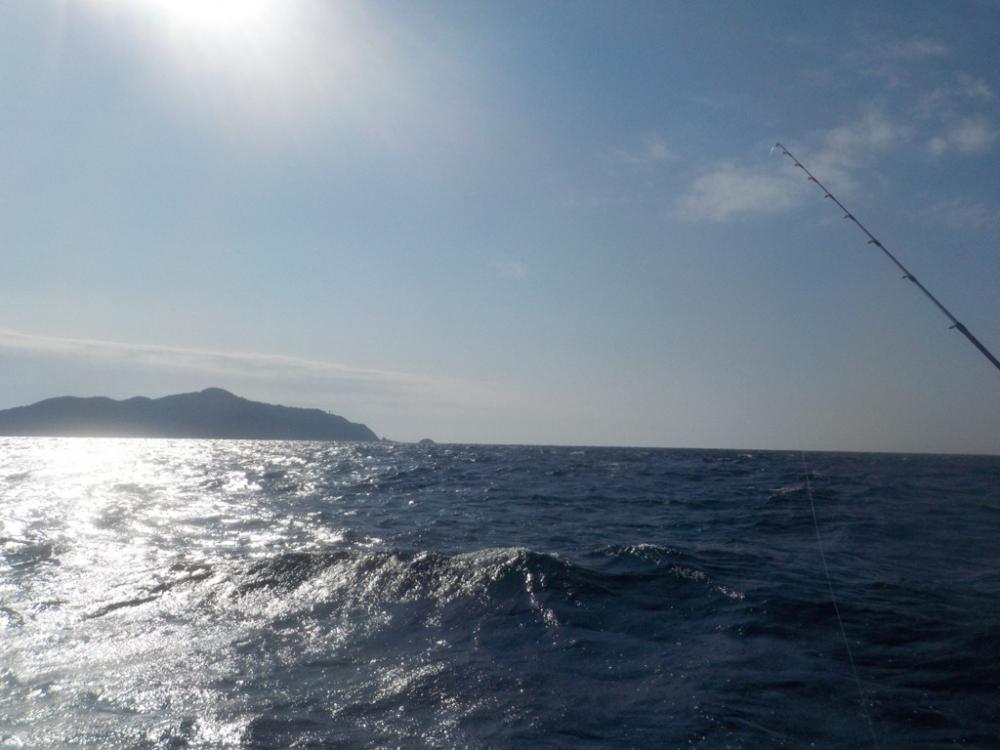 カワハギ第2 戦　at 和歌山