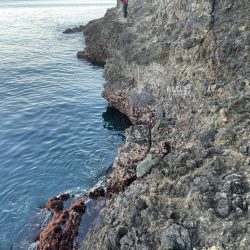 東伊豆　地磯　メジナ釣り