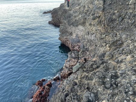 東伊豆　地磯　メジナ釣り