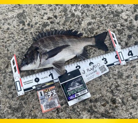 連続のアタリに良い魚の活性