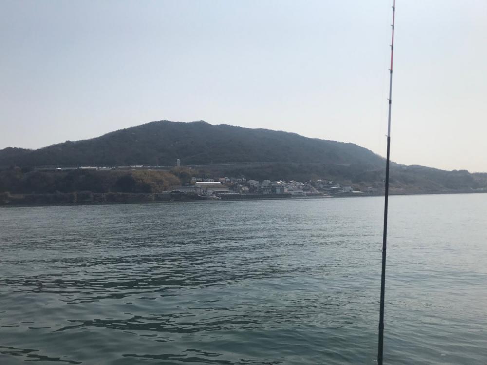 室津カットウ釣り