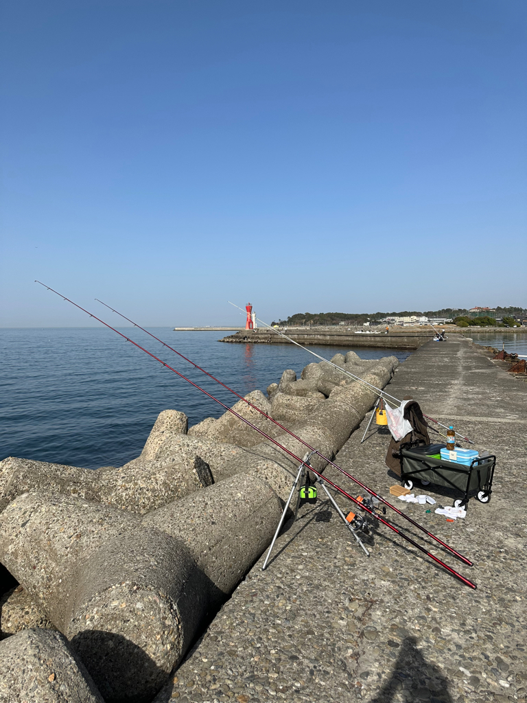 花見カレイ🌸狙い
