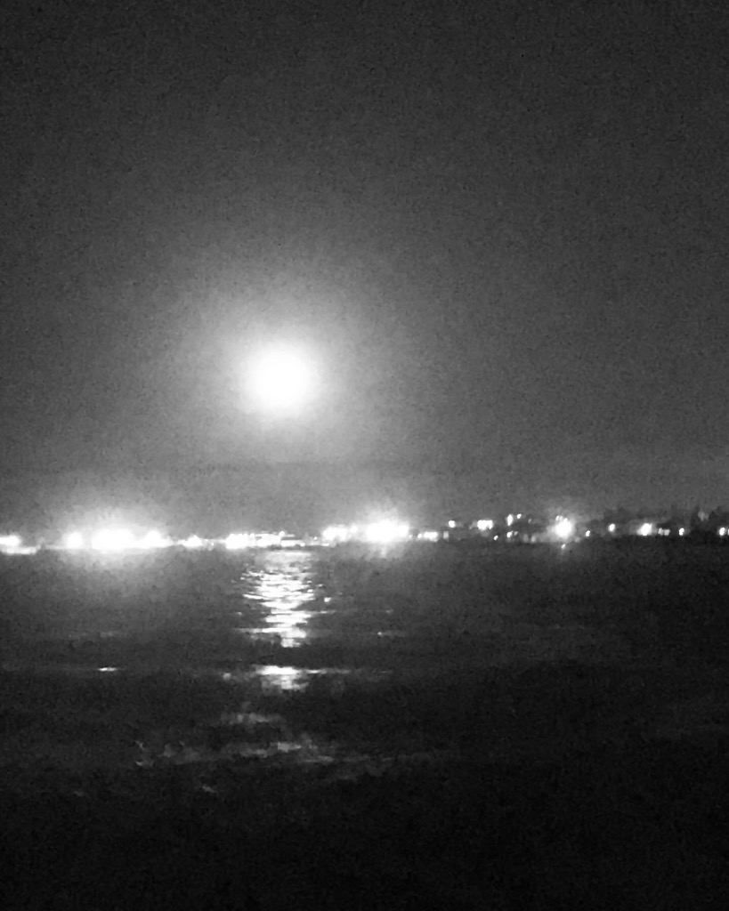 神戸沖カットウ釣り