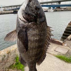 ヘチってきました