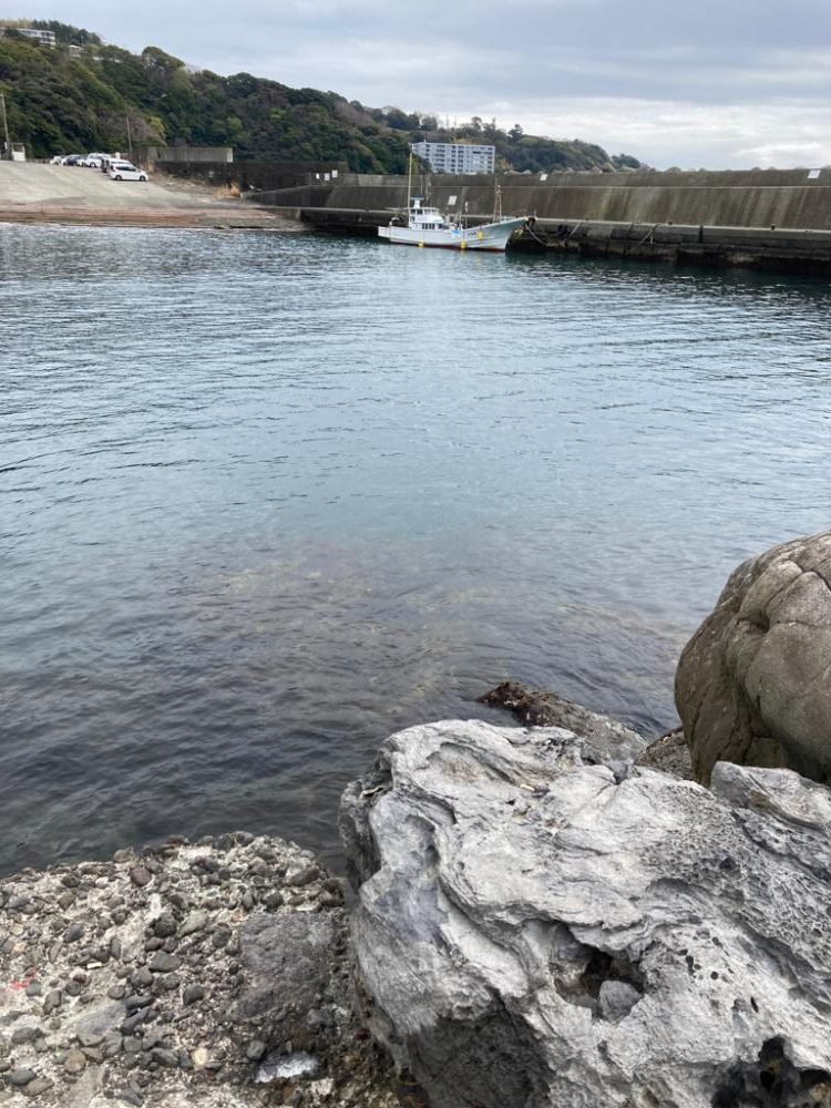 ショウジンガニー！