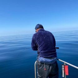 3/30ルアー真鯛釣りは大鯛デー