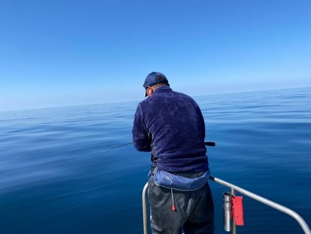 3/30ルアー真鯛釣りは大鯛デー