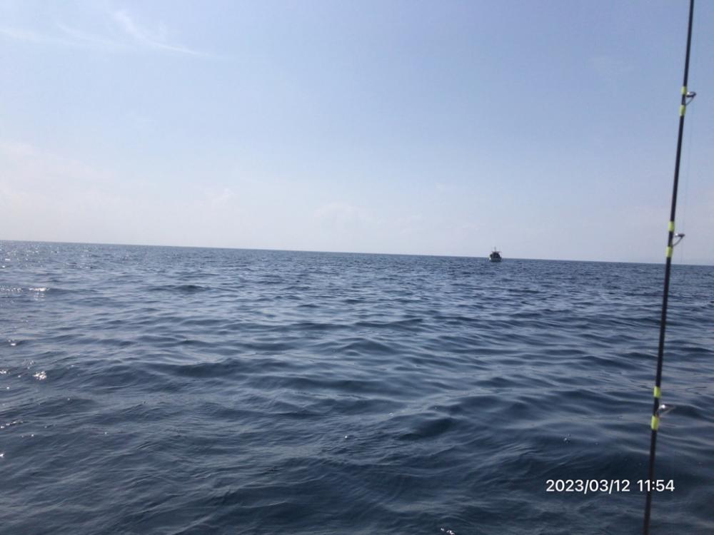 3/12 伊島沖ジギング&ジグサビキ
