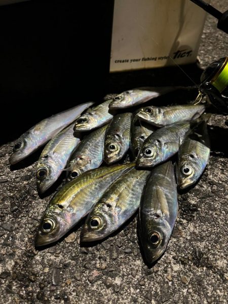 リハビリアジング