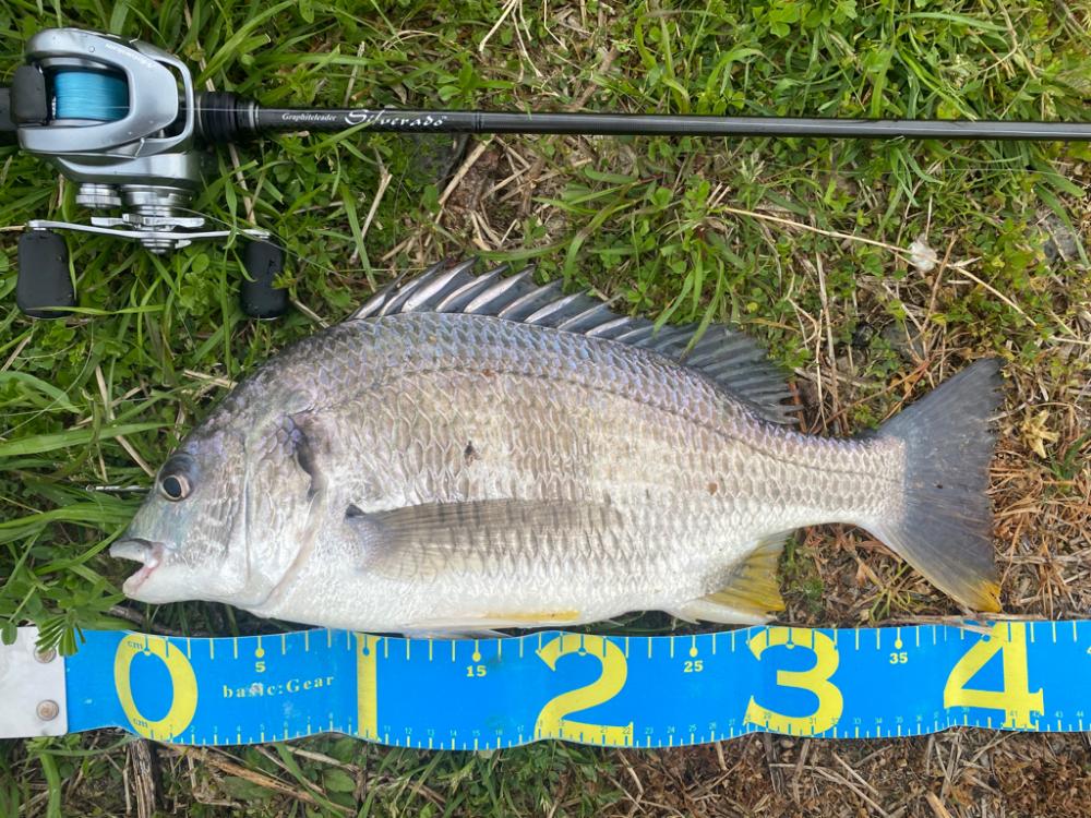 淀川ブリームゲーム　2023開幕