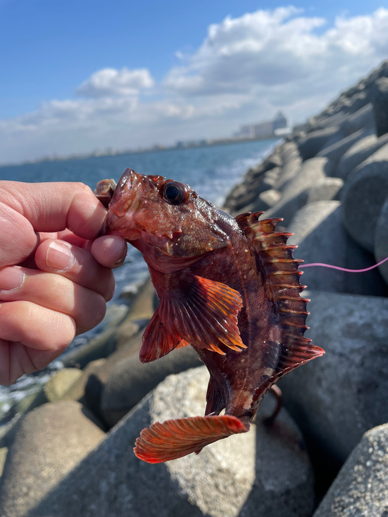 帰ってきた穴釣りNo.7