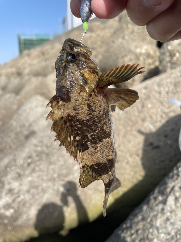 帰ってきた穴釣りNo.9