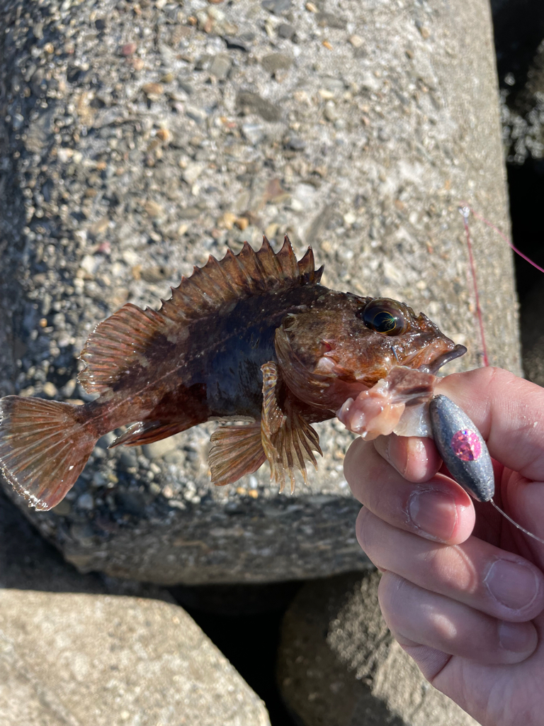 帰ってきた穴釣りNo.8