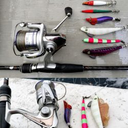 冬旬ヤリイカ釣り！（越前岬沖）