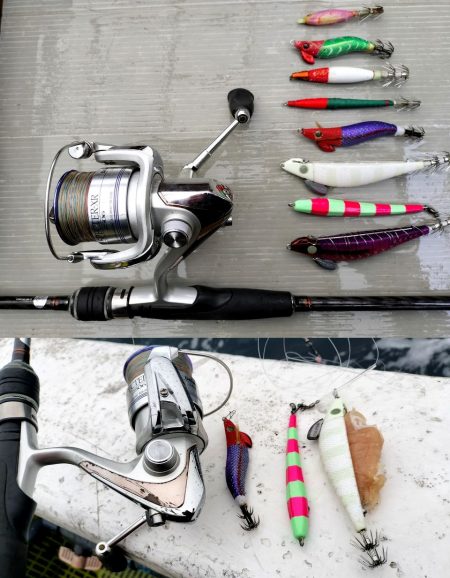 冬旬ヤリイカ釣り！（越前岬沖）