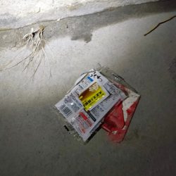 清掃活動：河口チニング