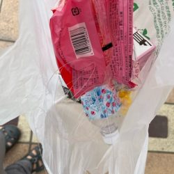 清掃活動：春の関門にアラカブ狙って行って来…