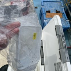 清掃活動：関門海峡でイカ・アラカブのリレー…