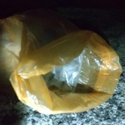 清掃活動：魚はいるけど。。