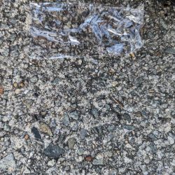 清掃活動：デイメバリング